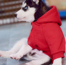 Load image into Gallery viewer, PUMBA Dog Hoodies