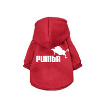 Load image into Gallery viewer, PUMBA Dog Hoodies